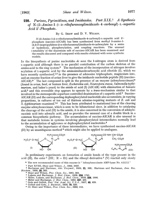 198. Purines, pyrimidines, and imidazoles. Part XIX. A synthesis of N-(5-amino-1-β-D- ribofuranosylimidazole-4-carbonyl)-L-aspartic acid 5′-phosphate