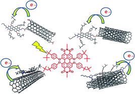 Graphical abstract: Single- and multi-walled carbon nanotubes covalently linked to perylenebisimides: synthesis, characterization and photophysical properties