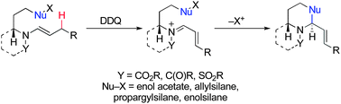 Graphical abstract: Stereoselective piperidine synthesis through oxidative carbon–hydrogen bond functionalizations of enamides