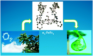 Graphical abstract: Selective four electron reduction of O2 by an iron porphyrin electrocatalyst under fast and slow electron fluxes