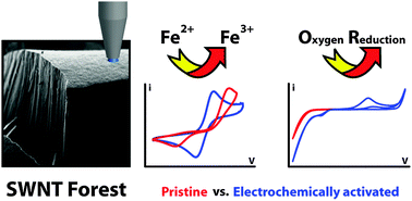 Graphical abstract: Electrochemical activation of pristine single walled carbon nanotubes: impact on oxygen reduction and other surface sensitive redox processes