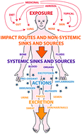 Graphical abstract: Human exposure to aluminium