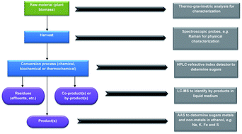 Graphical abstract: Analytical techniques for the chemical analysis of plant biomass and biomass products