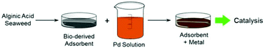 Graphical abstract: Direct synthesis of Pd nanoparticles on alginic acid and seaweed supports