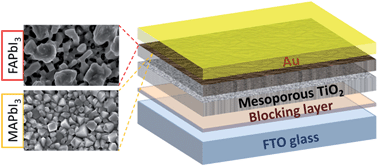 Graphical abstract: Temperature dependence of hole conductor free formamidinium lead iodide perovskite based solar cells