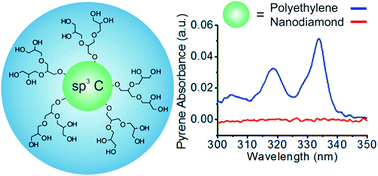 Graphical abstract: Carbon-based cores with polyglycerol shells – the importance of core flexibility for encapsulation of hydrophobic guests