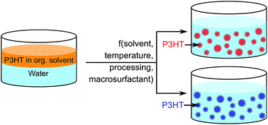 Graphical abstract: Tailoring the optical properties of poly(3-hexylthiophene) by emulsion processing using polymeric macrosurfactants