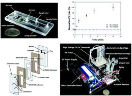 Graphical abstract: A disposable bacterial lysis cartridge (BLC) suitable for an in situ water-borne pathogen detection system