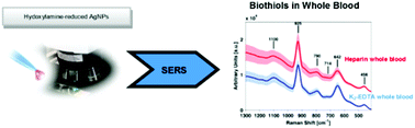 Graphical abstract: Surface enhanced Raman spectroscopic direct determination of low molecular weight biothiols in umbilical cord whole blood