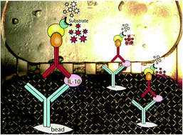 Graphical abstract: Development of an automated on-chip bead-based ELISA platform