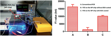 Graphical abstract: A BSA coated NOA81 PCR chip for gene amplification