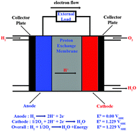 Graphical abstract: A concise guide to sustainable PEMFCs: recent advances in improving both oxygen reduction catalysts and proton exchange membranes