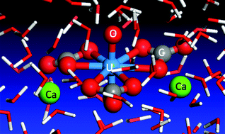 Graphical abstract: First-principles molecular dynamics simulation of the Ca2UO2(CO3)3 complex in water