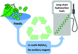 Graphical abstract: Effective deoxygenation of fatty acids over Ni(OAc)2 in the absence of H2 and solvent