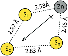 Graphical abstract: The influence of zinc(ii) on thioredoxin/glutathione disulfide exchange: QM/MM studies to explore how zinc(ii) accelerates exchange in higher dielectric environments