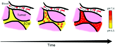 Graphical abstract: Monodispersed calcium carbonate nanoparticles modulate local pH and inhibit tumor growth in vivo