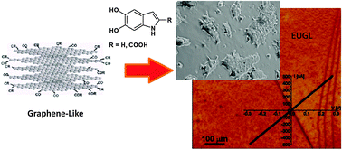 Graphical abstract: Supplementing π-systems: eumelanin and graphene-like integration towards highly conductive materials for the mammalian cell culture bio-interface