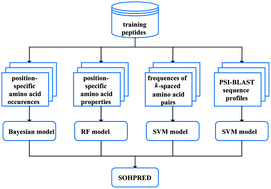 Graphical abstract: SOHPRED: a new bioinformatics tool for the characterization and prediction of human S-sulfenylation sites