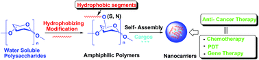 Graphical abstract: Carbohydrate-based amphiphilic nano delivery systems for cancer therapy