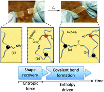 Graphical abstract: Self-healing of glucose-modified polyurethane networks facilitated by damage-induced primary amines