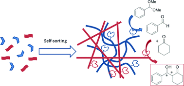 Graphical abstract: Tandem reactions in self-sorted catalytic molecular hydrogels