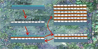 Graphical abstract: A CaCO3/nanocellulose-based bioinspired nacre-like material