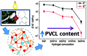 Graphical abstract: Engineering DN hydrogels from regenerated silk fibroin and poly(N-vinylcaprolactam)