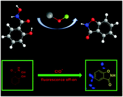 Graphical abstract: A novel method for the synthesis of 1,2-benzisoxazoline-3-one and its application to hypochlorite recognition