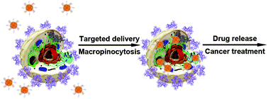 Graphical abstract: Facile green synthesis of calcium carbonate/folate porous hollow spheres for the targeted pH-responsive release of anticancer drugs