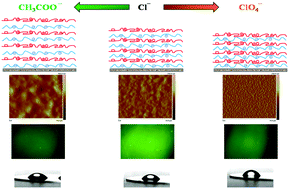 Graphical abstract: Regulation of the growth, morphology, mechanical properties and biocompatibility of natural polysaccharide-based multilayers by Hofmeister anions