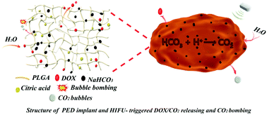 Graphical abstract: Phase-changeable and bubble-releasing implants for highly efficient HIFU-responsive tumor surgery and chemotherapy