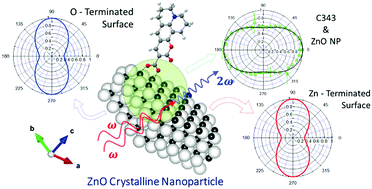 Graphical abstract: A synergistic combination of local tight binding theory and second harmonic generation elucidating surface properties of ZnO nanoparticles