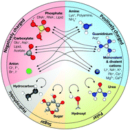 Graphical abstract: New tricks for old dogs: improving the accuracy of biomolecular force fields by pair-specific corrections to non-bonded interactions