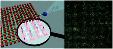 Graphical abstract: A scalable self-priming fractal branching microchannel net chip for digital PCR