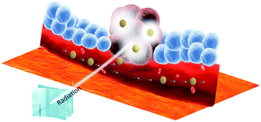 Graphical abstract: Engineering gold-based radiosensitizers for cancer radiotherapy