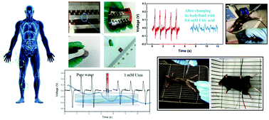 Graphical abstract: Self-powered implantable electronic-skin for in situ analysis of urea/uric-acid in body fluids and the potential applications in real-time kidney-disease diagnosis