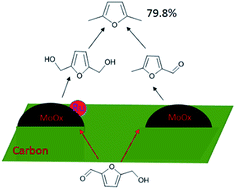 Graphical abstract: Selective hydrodeoxygenation of 5-hydroxymethylfurfural to 2,5-dimethylfuran on Ru–MoOx/C catalysts