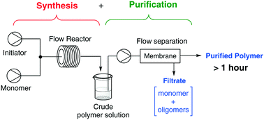 Graphical abstract: Purification of poly(acrylic acid) using a membrane ultra-filtration unit in flow