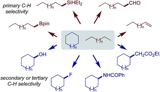 Graphical abstract: Challenges and opportunities for alkane functionalisation using molecular catalysts