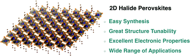 Graphical abstract: Emerging two-dimensional halide perovskite nanomaterials