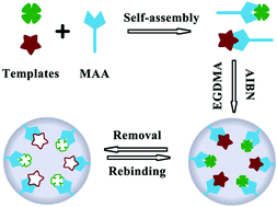 Graphical abstract: Dual-template molecularly imprinted polymers for dispersive solid-phase extraction of fluoroquinolones in water samples coupled with high performance liquid chromatography