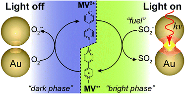 Graphical abstract: Plasmon-induced optical control over dithionite-mediated chemical redox reactions