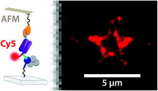 Graphical abstract: DNA-free directed assembly in single-molecule cut-and-paste