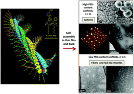 Graphical abstract: The secondary structures of PEG-functionalized random copolymers derived from (R)- and (S)- families of alkyne polycarbodiimides