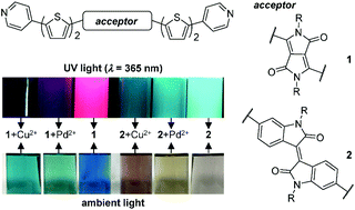 Graphical abstract: Pyridine-terminated low gap π-conjugated oligomers: design, synthesis, and photophysical response to protonation and metalation