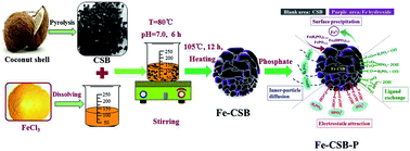 Graphical abstract: Enhanced phosphate sequestration by Fe(iii) modified biochar derived from coconut shell