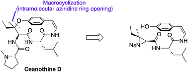 Graphical abstract: Total synthesis of the reported structure of ceanothine D via a novel macrocyclization strategy