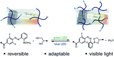 Graphical abstract: Reversibly tuning hydrogel stiffness through photocontrolled dynamic covalent crosslinks