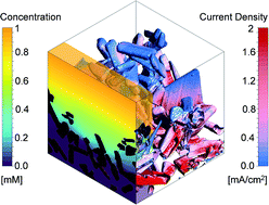 Graphical abstract: Linking morphology and multi-physical transport in structured photoelectrodes