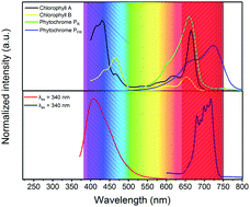 Graphical abstract: Tunable dual emission of Ca3Al4ZnO10:Bi3+,Mn4+via energy transfer for indoor plant growth lighting